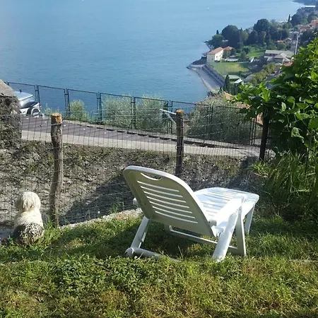 Relax